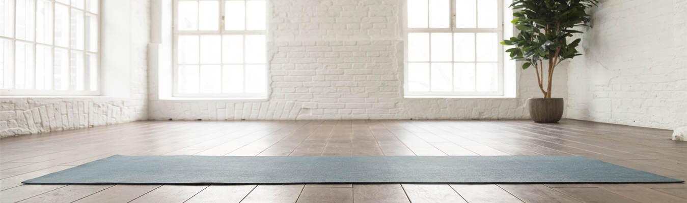 Empty yoga studio with a mat on the floor and a potted plant by the window.
